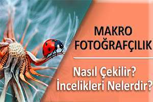 MAKRO FOTOĞRAFÇILIK SEMİNERİ